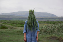 Load image into Gallery viewer, Landface - Þorlákshöfn, Ísland