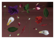 Load image into Gallery viewer, Pink Flower Dream