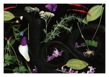 Load image into Gallery viewer, Human Nature