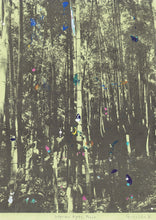 Load image into Gallery viewer, Sakyo-Ku, Kyoto, Japan