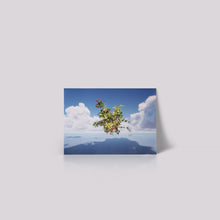 Load image into Gallery viewer, Plant Eden: Grace