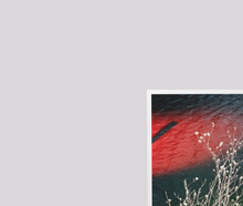 Load image into Gallery viewer, 'Just a glimpse' from the series 'The Lake'