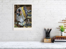 Load image into Gallery viewer, 3983368-932186

