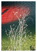 Load image into Gallery viewer, &#39;Just a glimpse&#39; from the series &#39;The Lake&#39;
