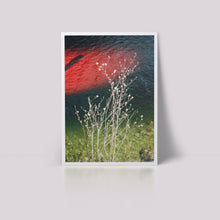 Load image into Gallery viewer, &#39;Just a glimpse&#39; from the series &#39;The Lake&#39;
