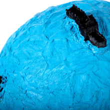 Load image into Gallery viewer, Blue Planet
