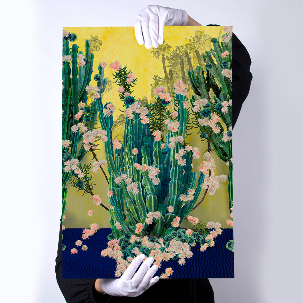Cactus Garden
