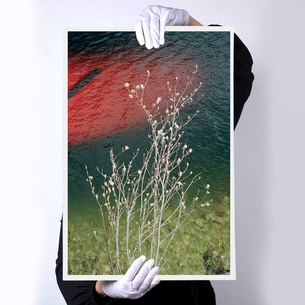 'Just a glimpse' from the series 'The Lake'